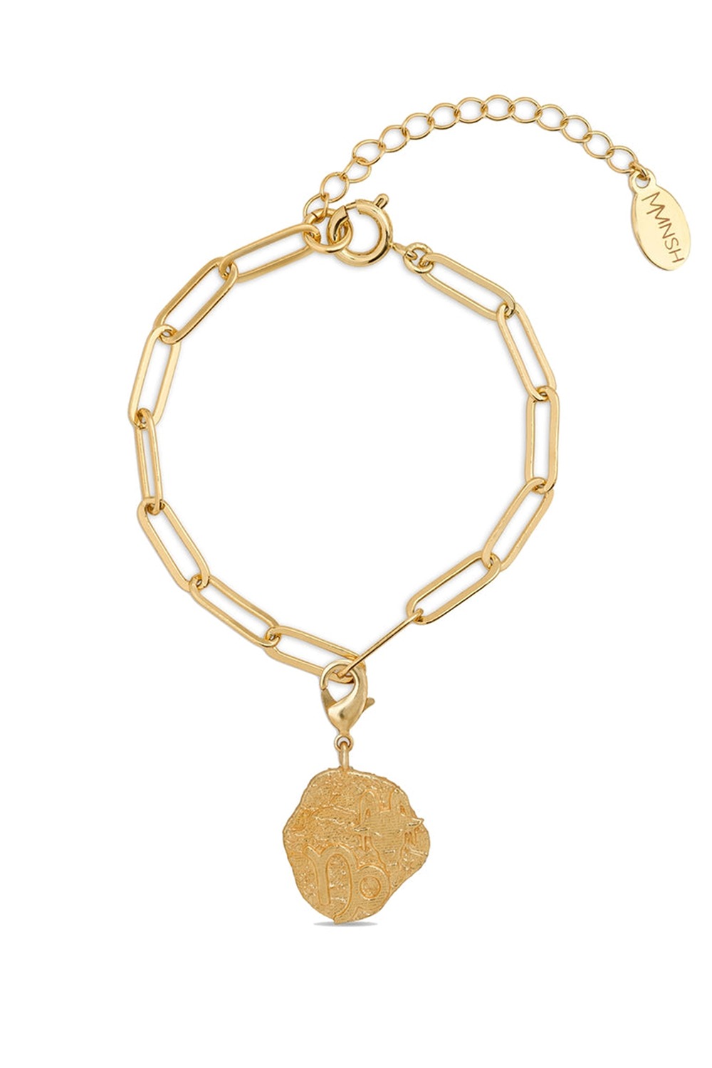 Zodiac Capricon Charm Bracelet