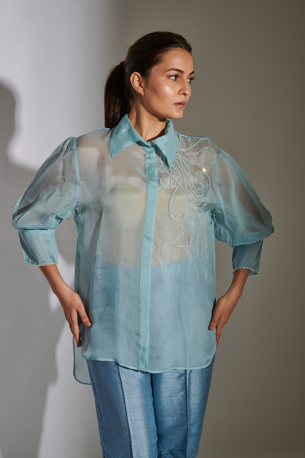 Weaving Cult Sky Blue Organza Embroidered Shirt
